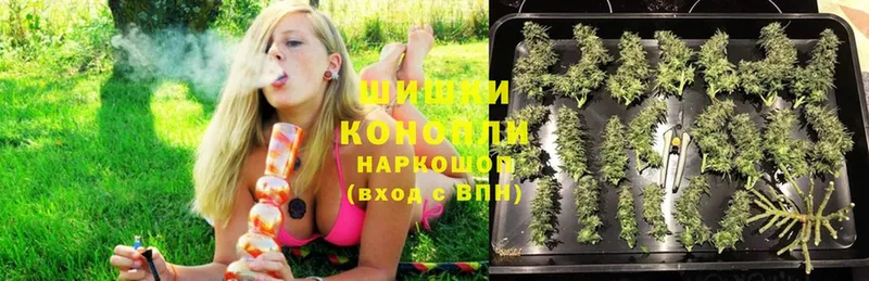 Бошки Шишки тримм  где можно купить наркотик  Кировск 